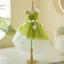 Flower Fairy Sage Green Lace Flower Appliques Asymmetrical Flower Girl Dresses 2024 Birthday Ball Gown V-Neck Sleeveless Tulle