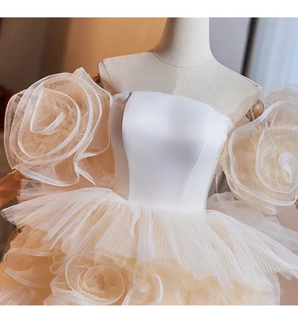 Mode Champagne Volants en Cascade Fleur Robe De Bal 2024 Robe Boule De l'épaule Manches Courtes Dos Nu Longue Promo Robe De Ceremonie