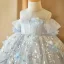 Chic / Beautiful Sky Blue Appliques Sequins Short Birthday Flower Girl Dresses 2024 Ball Gown Scoop Neck Short Sleeve