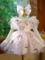 Lovely Blushing Pink Butterfly Appliques Short Flower Girl Dresses 2024 Birthday Ball Gown Scoop Neck Short Sleeve Tulle