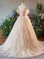 Chic / Belle Rougissant Rose Appliques Robe De Bal 2025 Robe Boule De l'épaule Manches Courtes Dos Nu Train De Balayage Promo Robe De Ceremonie