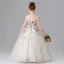 Flower Fairy Sky Blue Sequins Lace Flower Appliques Birthday Flower Girl Dresses 2025 Ball Gown Scoop Neck Sleeveless Floor-Length / Long