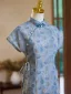 Chinese style Vintage / Retro Sky Blue Printing Cheongsam 2024 Trumpet / Mermaid High Neck Short Sleeve Tea-length