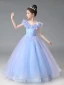 Cinderella Sky Blue Lace Butterfly Star Sequins Flower Girl Dresses 2024 Ball Gown Birthday Scoop Neck Short Sleeve Floor-Length / Long