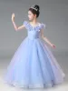 Cinderella Sky Blue Lace Butterfly Star Sequins Flower Girl Dresses 2024 Ball Gown Birthday Scoop Neck Short Sleeve Floor-Length / Long