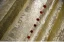 Chic / Beautiful Gold Glitter Prom Dresses 2023 A-Line / Princess Square Neckline Puffy Short Sleeve Backless Floor-Length / Long Prom Formal Dresses