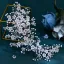 Sjarmerende Hvit Perle Rhinestone Legering Bryllup Har Tilbehor 2024