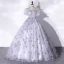 Elegant Grey Butterfly Prom Dresses 2022 Ball Gown Scoop Neck Puffy Short Sleeve Floor-Length / Long Prom Formal Dresses