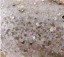 Scintillantes Champagne Paillettes Perlage Fendue devant Robe De Soirée 2024 Trompette / Sirène Une épaule Sans Manches Dos Nu Train De Balayage Robe De Ceremonie