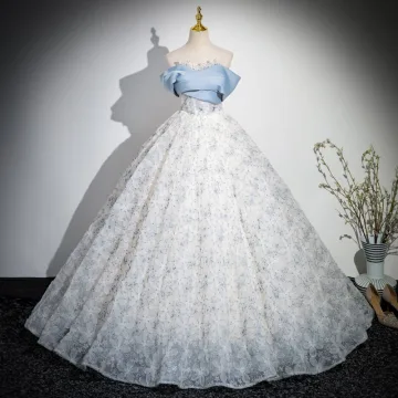 Chic Belle Bleu Ciel Impression Robe De Bal 2024 Robe Boule Bustier Sans Manches Dos Nu Longue Promo Robe De Ceremonie