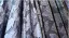 Vintage / Retro Navy Blue Beading Sequins Printing Prom Dresses 2024 Ball Gown Square Neckline Short Sleeve Backless Floor-Length / Long Prom Formal Dresses