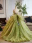 Flower Fairy Sage Green Multi-Colors Appliques Prom Dresses 2025 Ball Gown Strapless Sleeveless Backless Sweep Train Formal Dresses