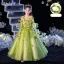 Flower Fairy Sage Green Appliques Birthday Flower Girl Dresses 2024 Ball Gown V-Neck Bell sleeves Floor-Length / Long