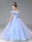 Cinderella Sky Blue Lace Butterfly Star Sequins Flower Girl Dresses 2024 Ball Gown Birthday Scoop Neck Short Sleeve Floor-Length / Long