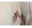 Chinese style White Embroidered Butterfly Tea-length Cheongsam 2026 Trumpet / Mermaid High Neck Short Sleeve