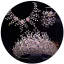 Charmant Bling Bling Fait main Multi-Couleurs Faux Diamant Alliage Accessoire Cheveux Mariage 2023 Mariage