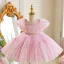 Bling Bling Sky Blue Sequins Birthday Short Flower Girl Dresses 2025 Ball Gown Scoop Neck Puffy Short Sleeve Tulle