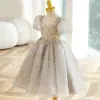 Chic / Beautiful Grey Star Sequins Short Flower Girl Dresses 2023 Square Neckline Short Sleeve Backless Prom Flower Girl Dresses