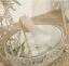 Elegant Beige Beading Pearl Rhinestone Satin Wedding Shoes 2024 3 cm Thick Heels Low Heel Pointed Toe Wedding Pumps High Heels