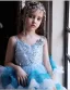 Charmant Himmelblau Perlenstickerei Pailletten Geburtstag Fallende Rüsche Blumenmädchenkleider Ballkleid 2025 Spaghettiträger Ärmellos Rückenfreies Asymmetrisch