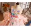 Lovely Flower Fairy Multi-Colors Appliques Blushing Pink Birthday Flower Girl Dresses 2025 Ball Gown Spaghetti Straps Sleeveless Backless Sweep Train