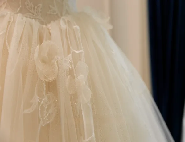 Haut de Gamme Élégant Champagne Fait main Perlage Appliques Robe De Mariée 2026 Princesse Bustier Sans Manches Dos Nu Longue