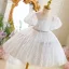 Bling Bling Sky Blue Sequins Birthday Short Flower Girl Dresses 2025 Ball Gown Scoop Neck Puffy Short Sleeve Tulle