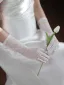 Simple Blanche En Dentelle Fleur Mariage Gants Mariage 2025 Tulle