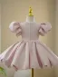 Elegant Blushing Pink Short Birthday Flower Girl Dresses 2023 Ball Gown Scoop Neck Puffy Short Sleeve Bow