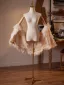 High-end Jaw-dropping Champagne Handmade  Feather Tassel Evening Party shawl 2026
