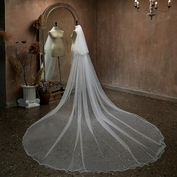 Vintage / Originale Blanche Voile De Mariée 3 m Tulle Chapel Train 2024