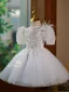 Fashion White Beading Sequins Tassel Short Birthday Flower Girl Dresses 2023 Ball Gown Scoop Neck Puffy Short Sleeve