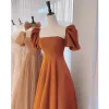Vintage / Retro Brown Princess Prom Dresses 2021 Square Neckline Crossed Straps Floor-Length / Long Ruffle Tulle Satin Short Sleeve Formal Dresses