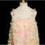 Flower Fairy Multi-Colors Appliques Prom Dresses 2025 A-Line / Princess Spaghetti Straps Sleeveless Backless Floor-Length / Long Formal Dresses