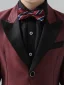Burgundy 4-piece Long Sleeve Wedding Boys Wedding Suits 2024 Coat Pants Shirt Tie