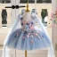 Chic / Beautiful Sky Blue Lace Flower Appliques Birthday Short Flower Girl Dresses 2025 Ball Gown V-Neck Sleeveless
