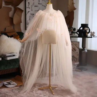 Chic Beautiful Champagne Handmade Appliques Tulle Prom Shawl 2025 Scoop Neck