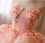 Flower Fairy Blushing Pink Pearl Appliques Prom Dresses 2024 Ball Gown Strapless Sleeveless Backless Court Train Prom Formal Dresses
