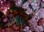 Fantaisie Lilas Paillettes En Dentelle Fleur Robe De Soirée 2024 Trompette / Sirène Bustier Gonflée Manches Courtes Dos Nu Longue Soirée Robe De Ceremonie