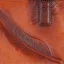 Vintage / Retro Brown Leather Street Wear Women's Bags Handbag 2023