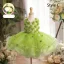 Flower Fairy Sage Green Appliques Birthday Flower Girl Dresses 2024 Ball Gown V-Neck Bell sleeves Floor-Length / Long