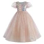 Scintillantes Champagne Glitter Paillettes Noeud Anniversaire Robe Ceremonie Fille 2024 Robe Boule Encolure Dégagée Manches Courtes Longue Tulle