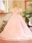 Lovely Blushing Pink Appliques Birthday Flower Girl Dresses 2025 Ball Gown Scoop Neck Short Sleeve Backless Sweep Train Tulle Flower Girl Dresses