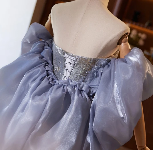 Scintillantes Argenté Gris Paillettes Robe De Bal 2024 Trompette / Sirène Bustier Manches Courtes Dos Nu Longue Promo Robe De Ceremonie