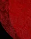 Amazing / Unique Red Beading Sequins Lace Flower Royal Train Wedding Dresses 2025 Ball Gown Off-The-Shoulder Short Sleeve Backless Tulle Wedding