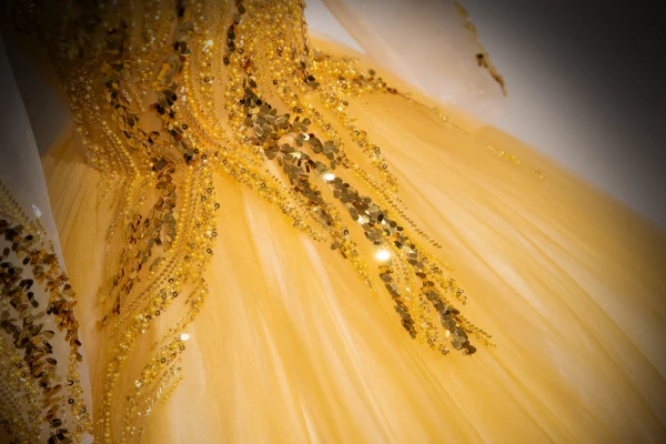Elegant Gold Beading Sequins Prom Dresses 2024 Ball Gown Scoop Neck Long Sleeve Backless Floor-Length / Long Prom Formal Dresses