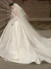 Vintage / Retro Ivory Printing Satin Royal Train Wedding Dresses 2024 Ball Gown Strapless Sleeveless Backless Wedding