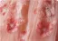 Flower Fairy Blushing Pink Beading Sequins Appliques Prom Dresses 2025 Ball Gown Strapless Sleeveless Backless Floor-Length / Long Formal Dresses