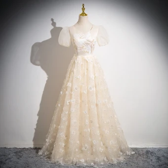 Chic Beautiful Champagne Butterfly Appliques Beading Sequins Prom Dresses 2024 A Line Princess V Neck Short Sleeve Backless Floor Length Long Prom Formal Dresses