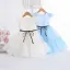 Modest / Simple Sky Blue Birthday Flower Girl Dresses 2023 A-Line / Princess Scoop Neck Sleeveless Bow Sash Floor-Length / Long Flower Girl Dresses